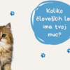 Quanti anni umani ha il tuo gatto?